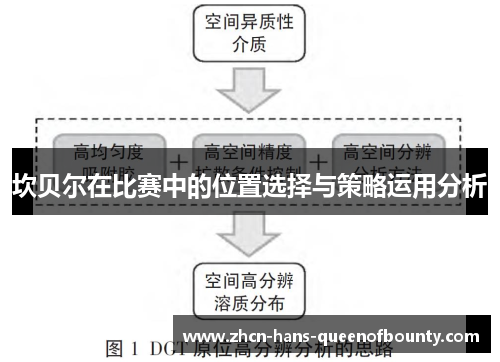 坎贝尔在比赛中的位置选择与策略运用分析