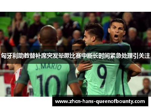 匈牙利助教替补席突发晕厥比赛中断长时间紧急处理引关注
